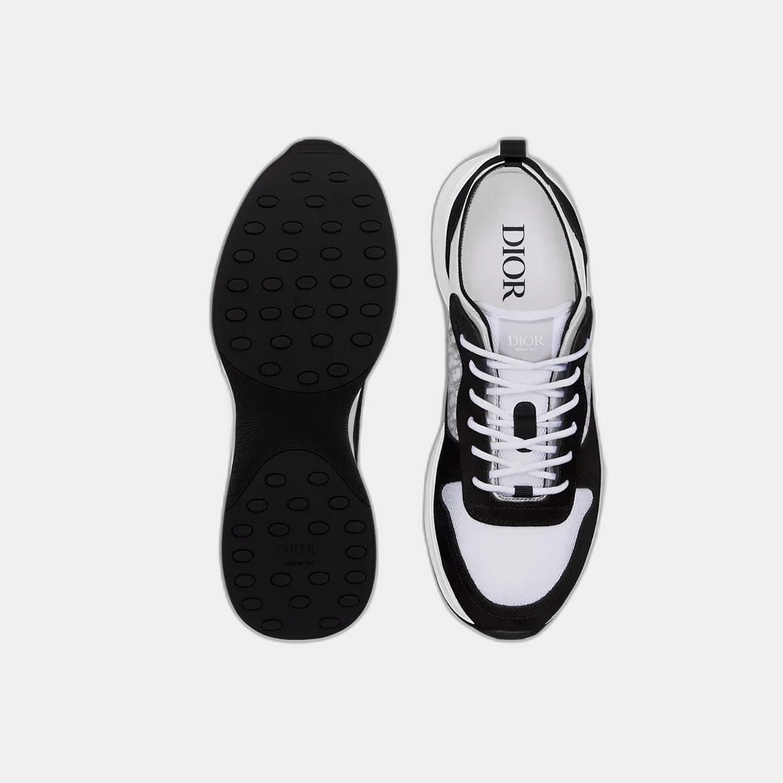 Dior B25 Black and White