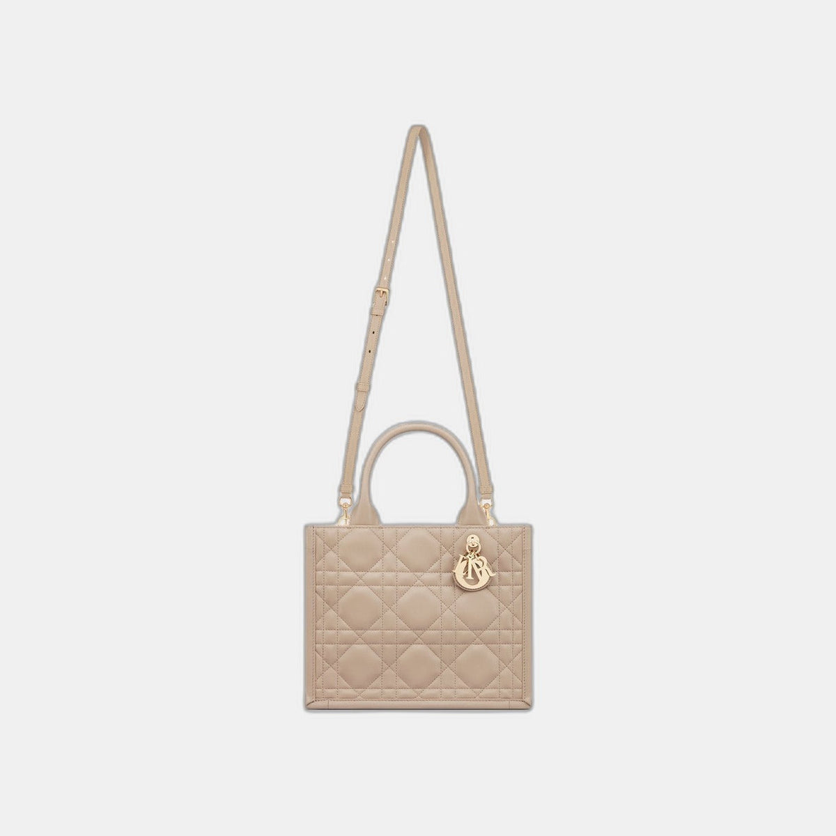 Sac Dior Book Tote Small - #5