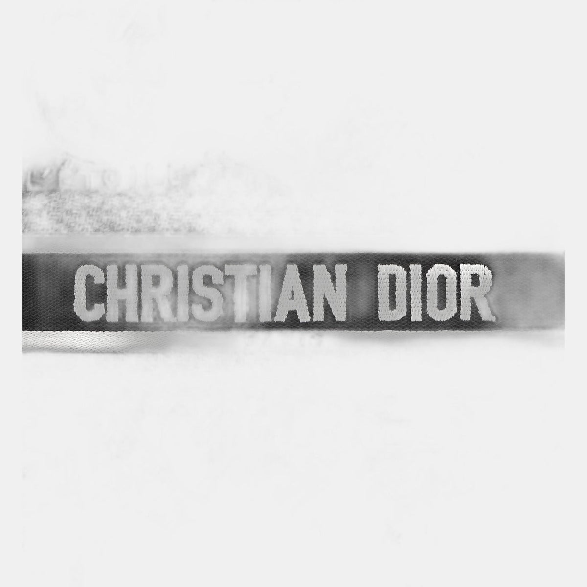 Sac Dior Book Tote Small - #1