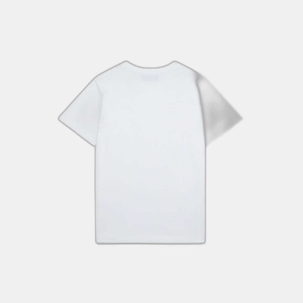 Playful Eagle T-Shirt