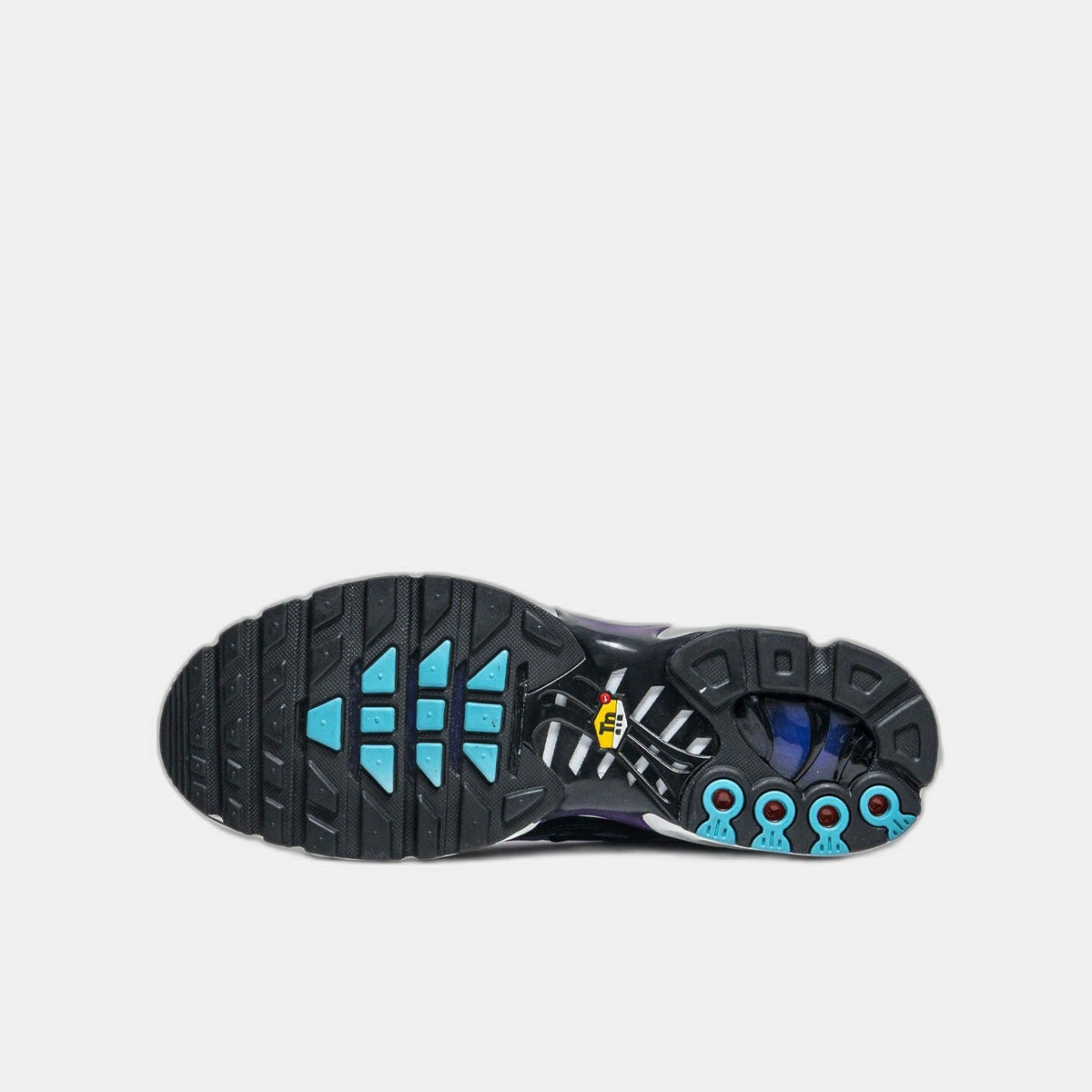 Nike Air Max Plus Reverse Grape