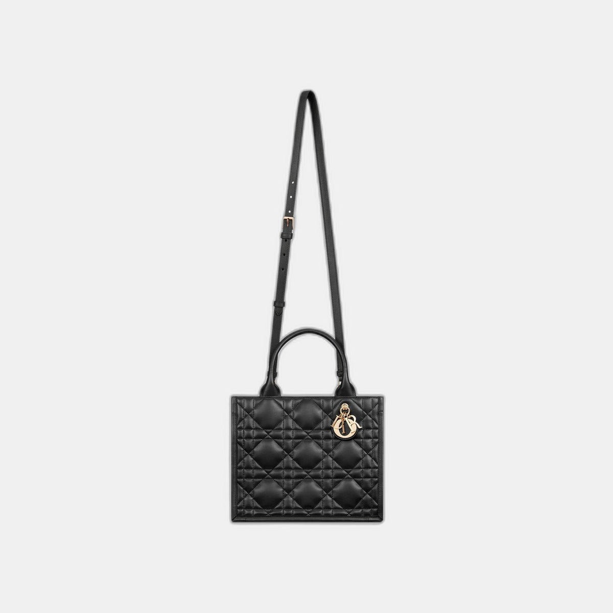 Sac Dior Book Tote Small - #8