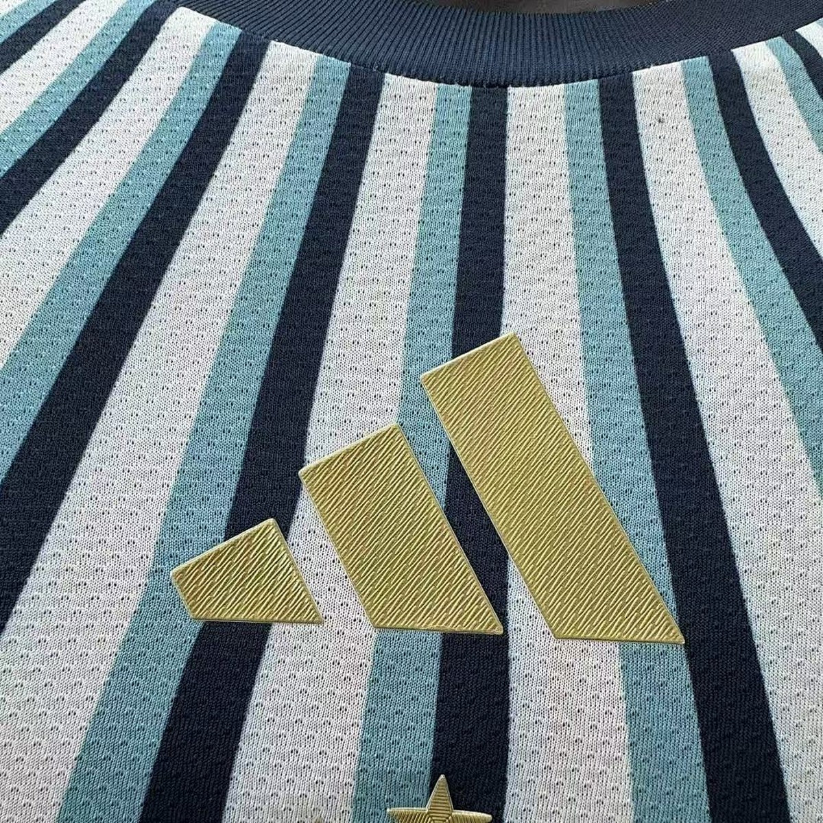 Maillot Argentine concept 2026