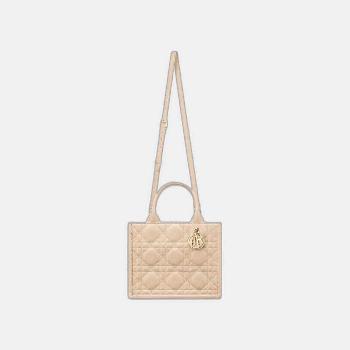 Sac Dior Book Tote Small - #10