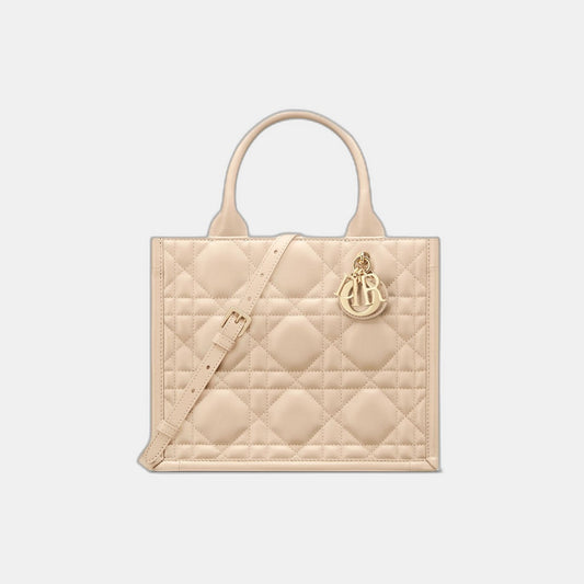 Sac Dior Book Tote Small - #10