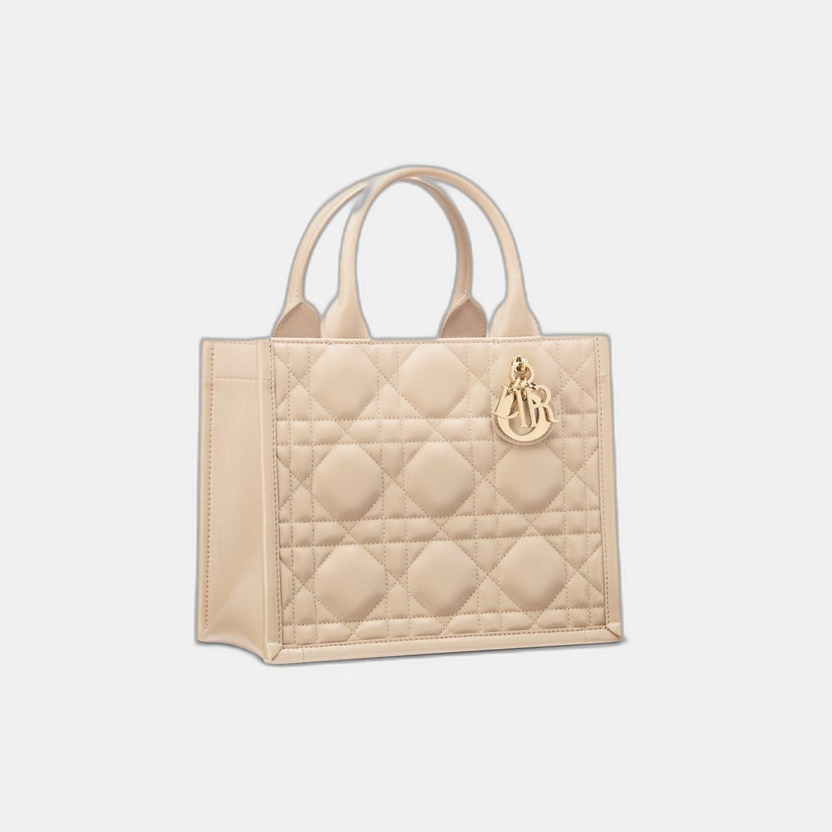 Sac Dior Book Tote Small - #10