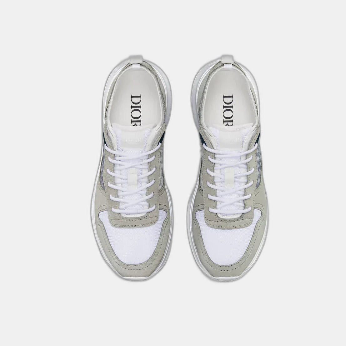 Dior B25 Grey