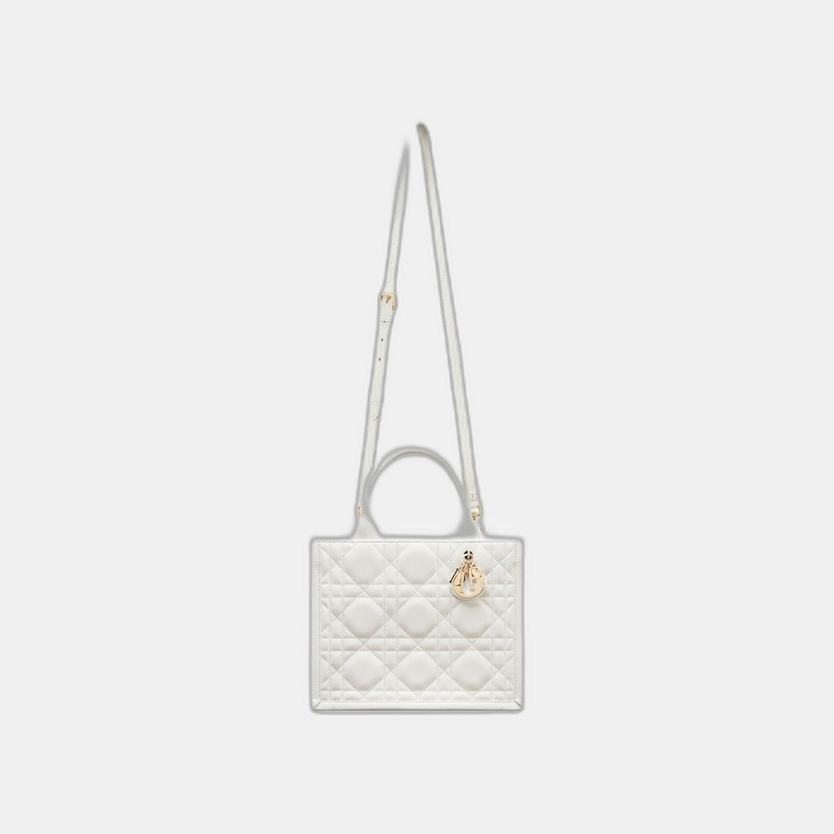 Sac Dior Book Tote Small - #6
