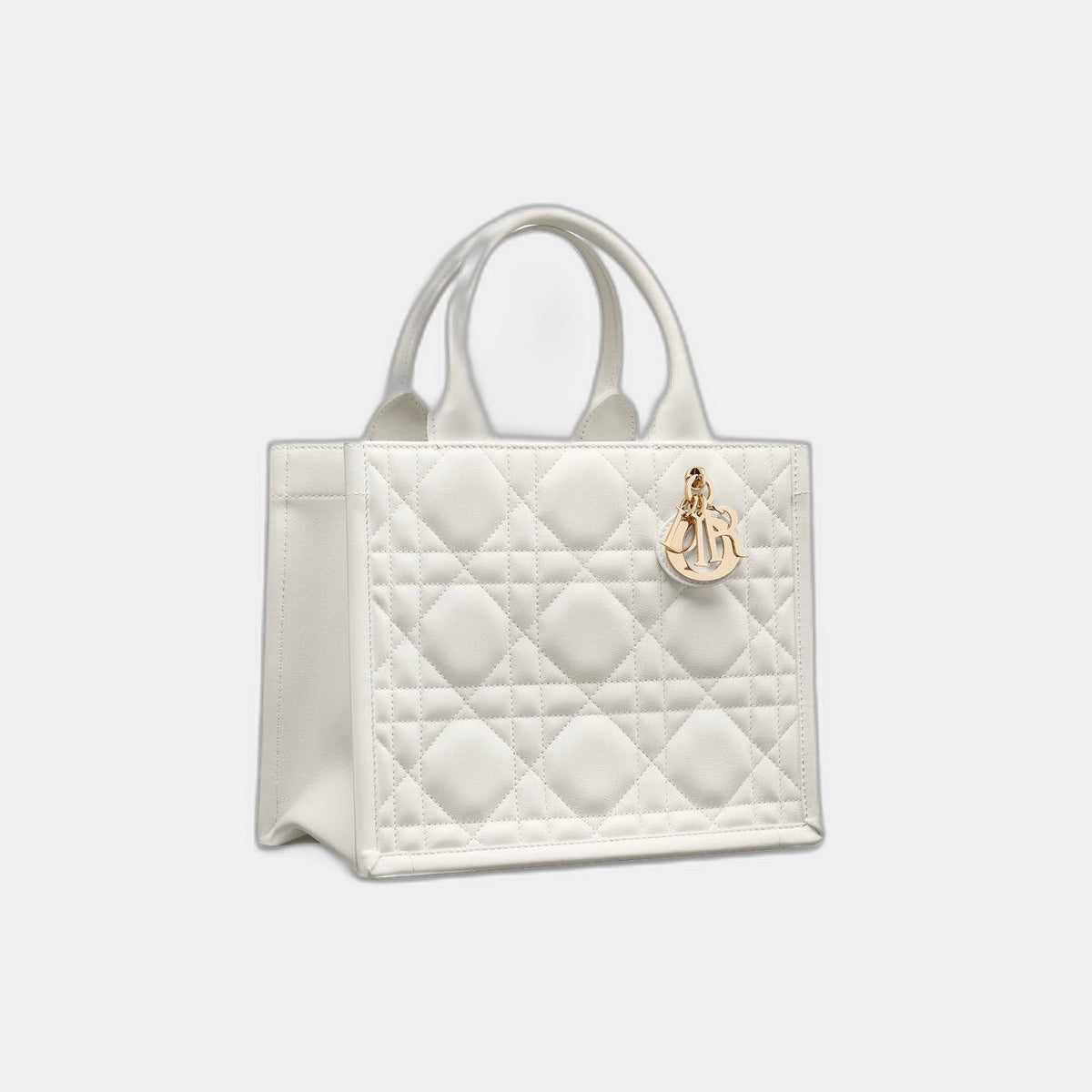 Sac Dior Book Tote Small - #6
