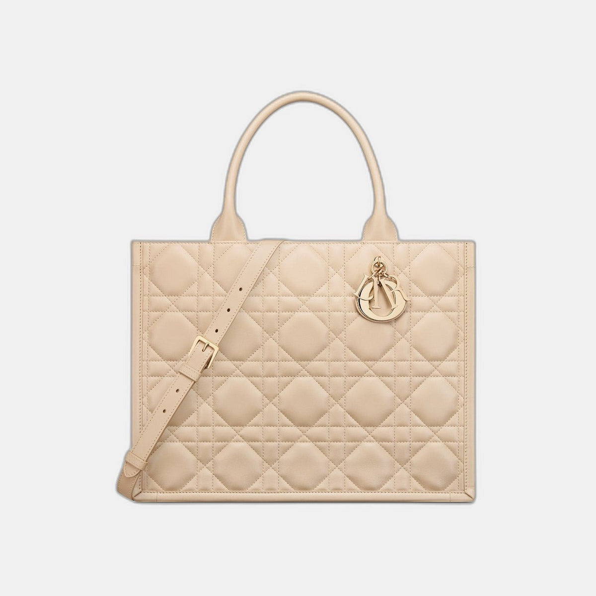 Sac Dior Book Tote Medium - #4