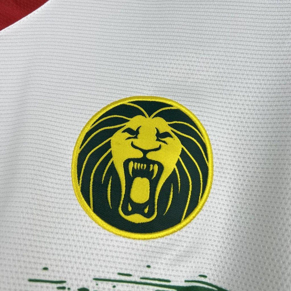 Maillot Cameroun CAN 2025-26