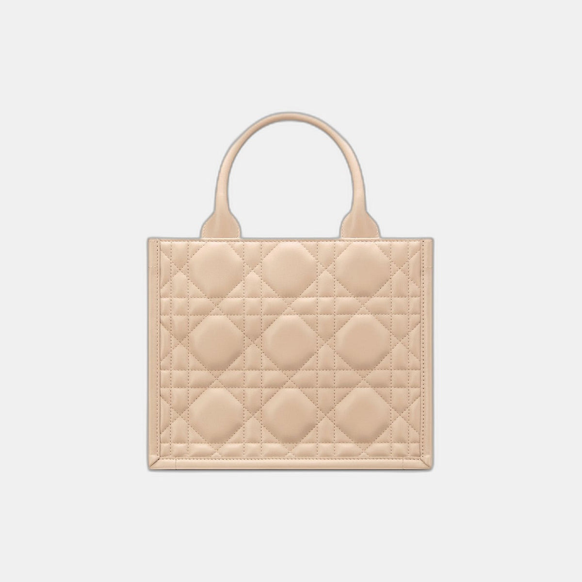 Sac Dior Book Tote Small - #10