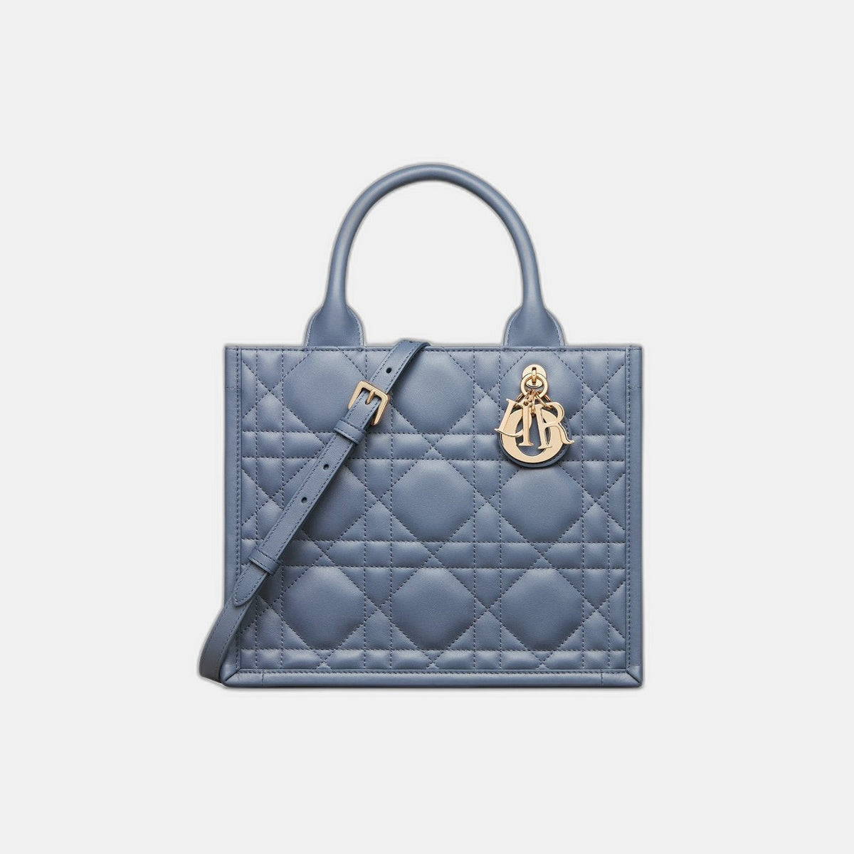 Sac Dior Book Tote Small - #9