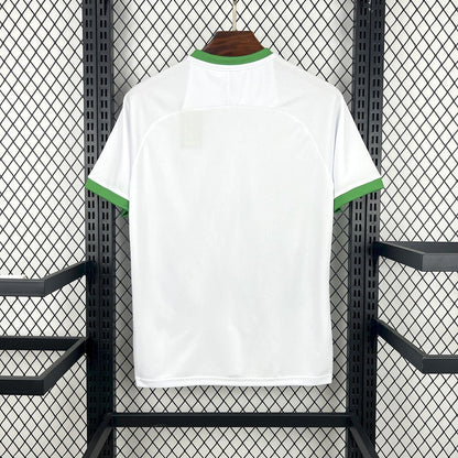 Maillot Irlande Concept 2026
