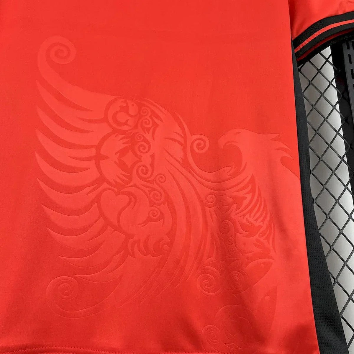 Maillot Albanie 2025