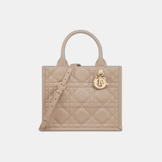 Sac Dior Book Tote Small - #5