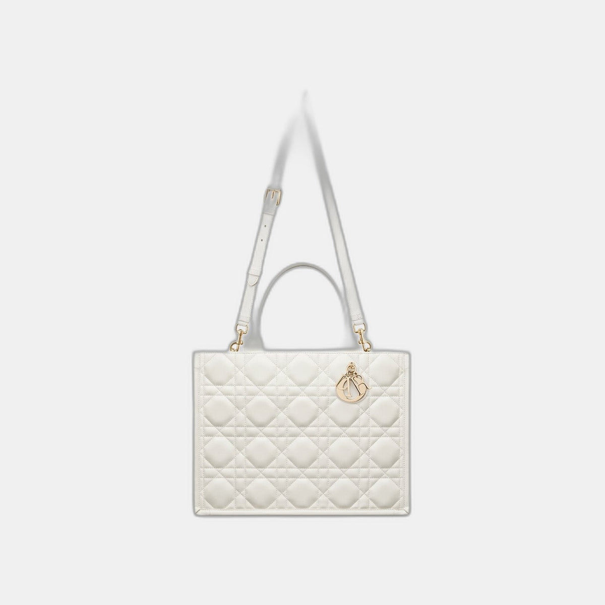 Sac Dior Book Tote Medium - #2