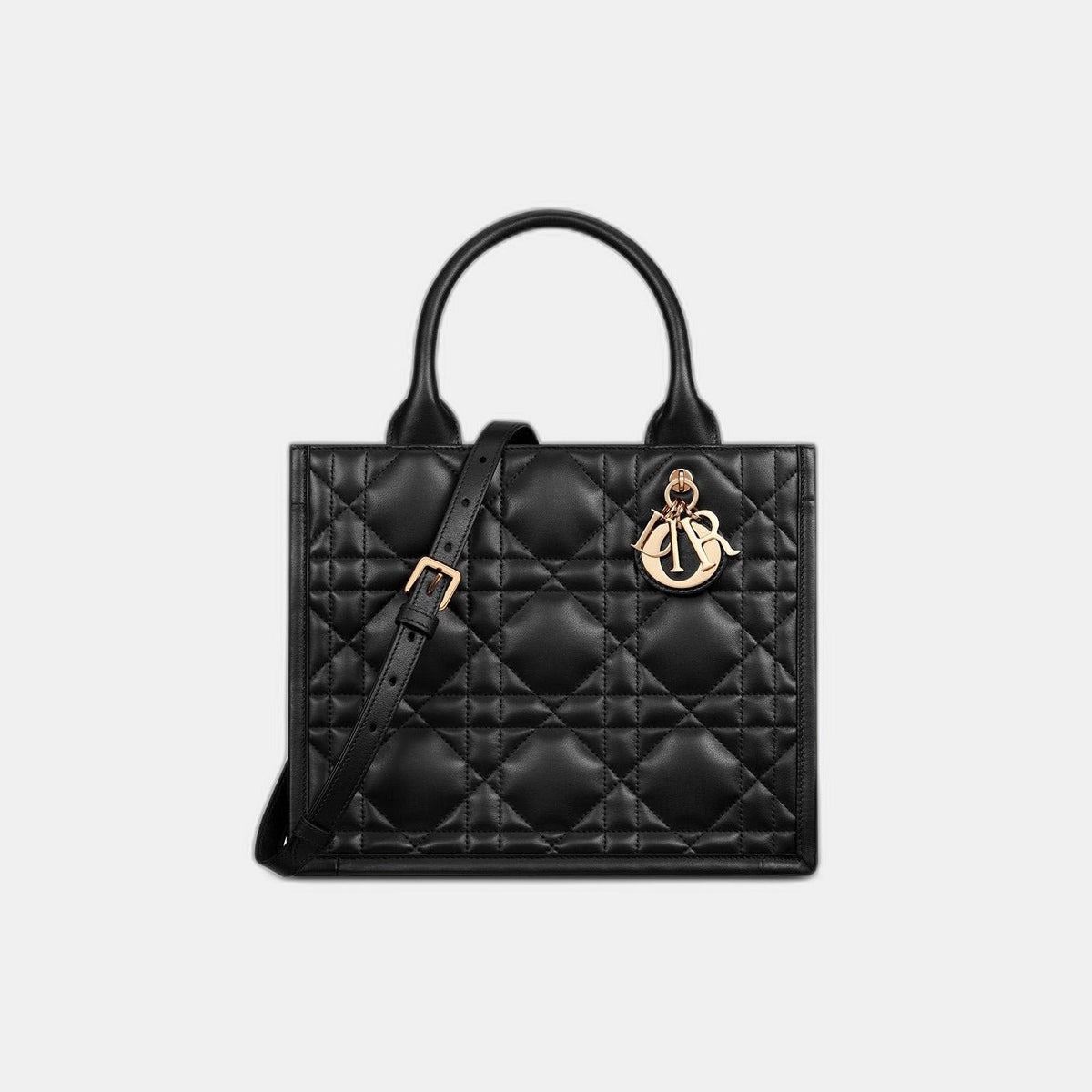Sac Dior Book Tote Small - #8