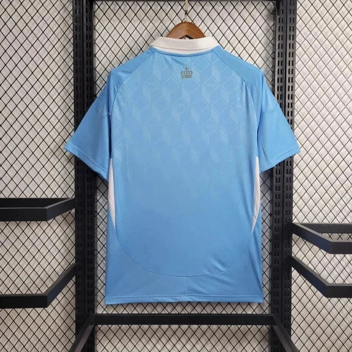 Belgium National Team Jersey Away EURO 2024