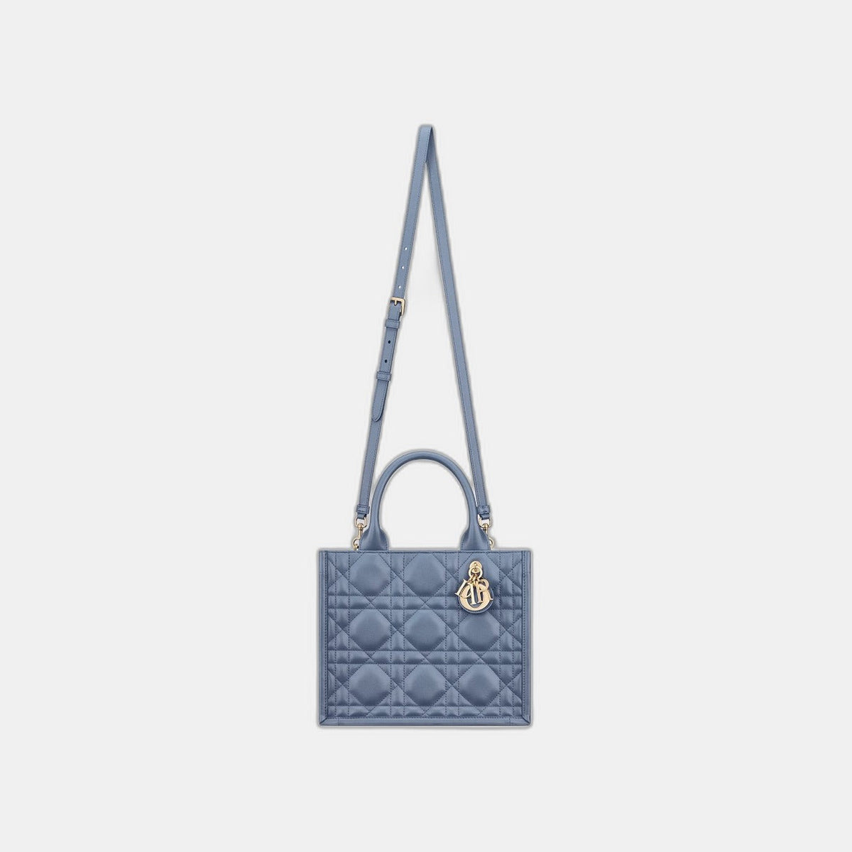 Sac Dior Book Tote Small - #9