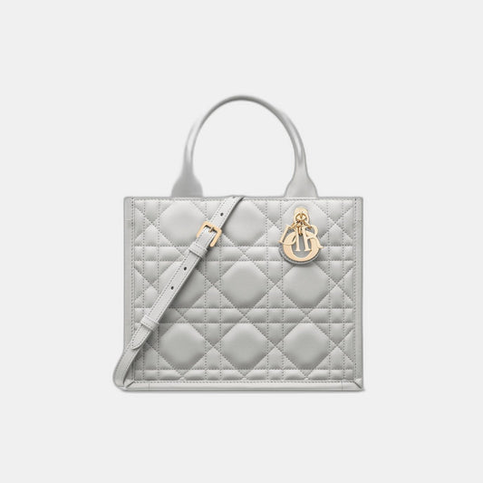 Sac Dior Book Tote Small - #7