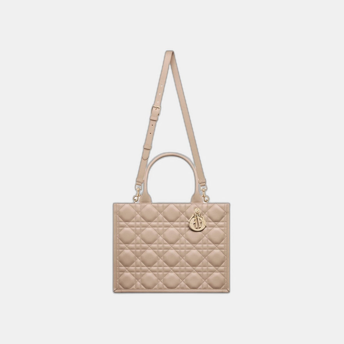 Sac Dior Book Tote Medium - #5