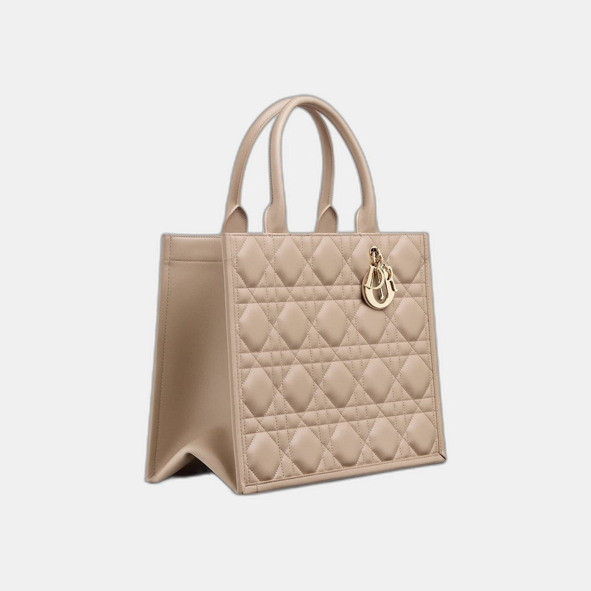 Sac Dior Book Tote Medium - #5