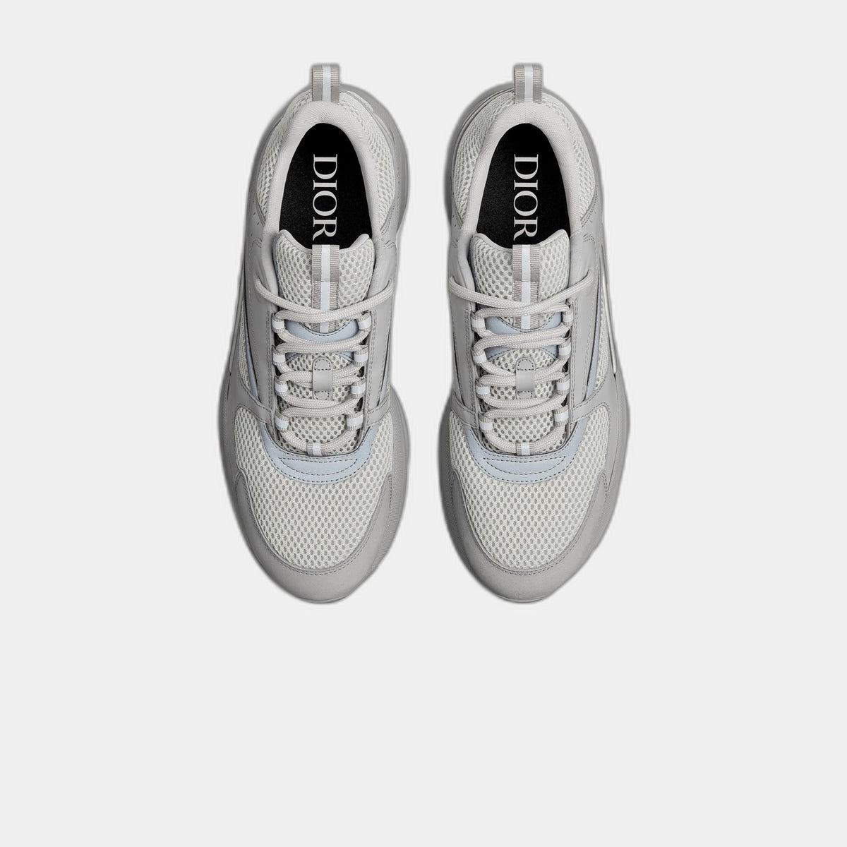 Dior B22 Grey