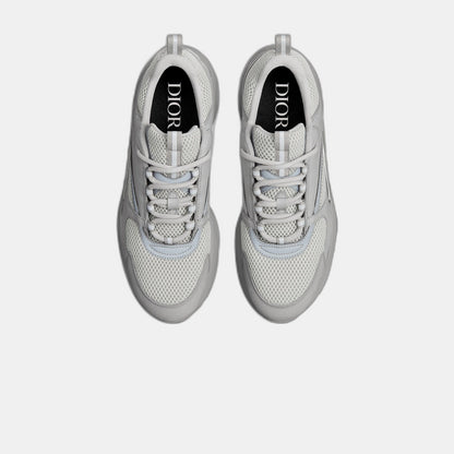 Dior B22 Grey