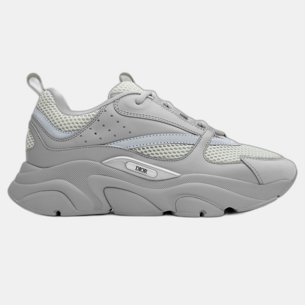 Dior B22 Grey