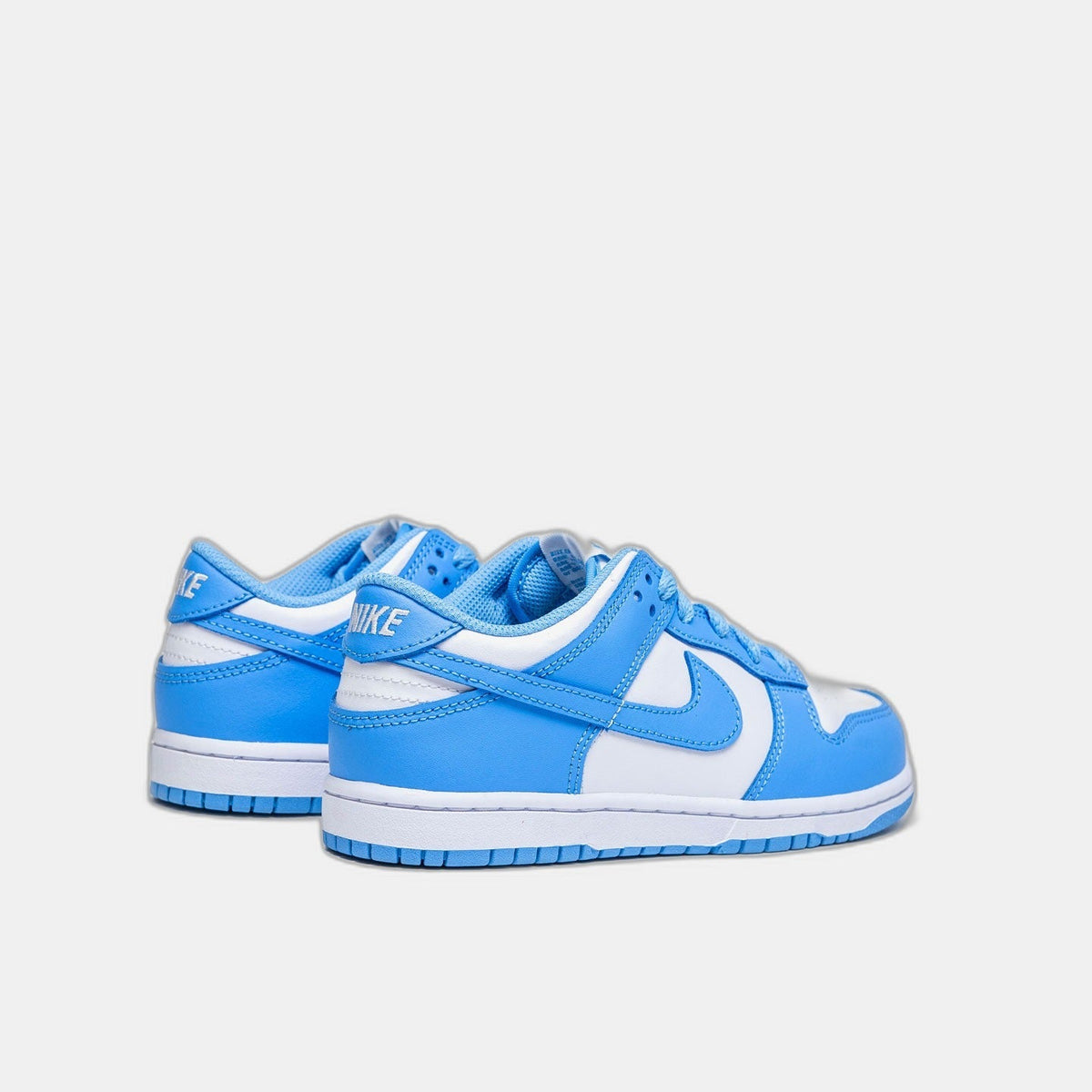 Nike Dunk Low Polar Blue