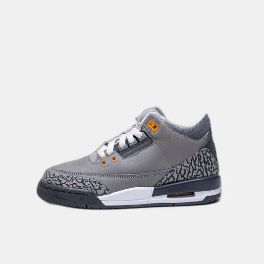 Jordan 4 Retro Cool Grey (2019)
