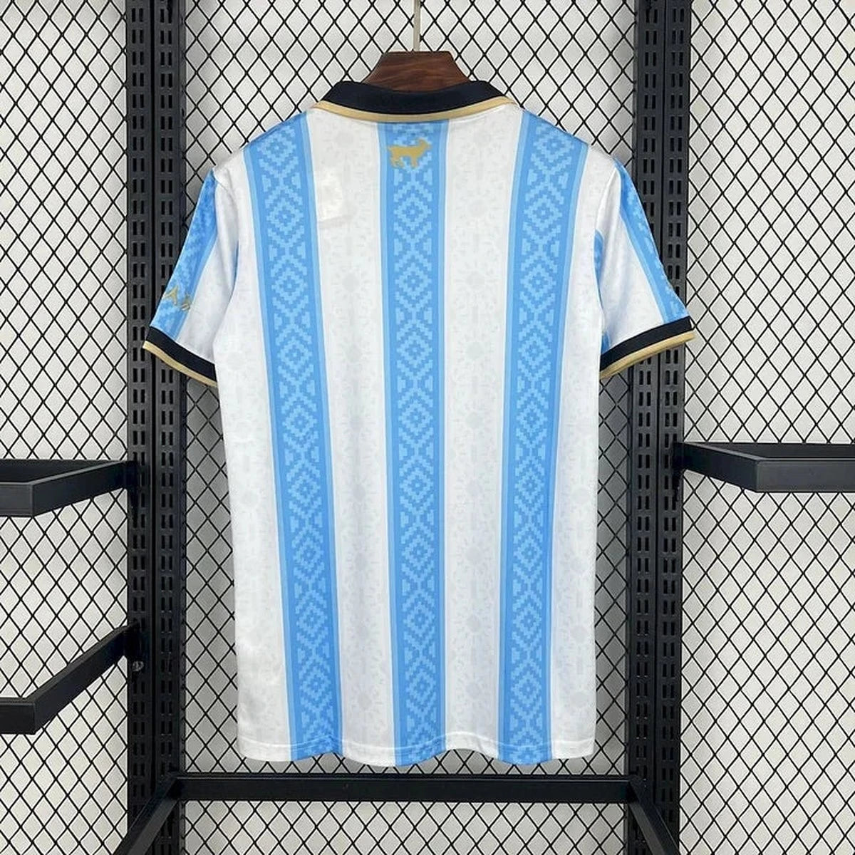 Maillot Argentine Foot 2025 2026 concept