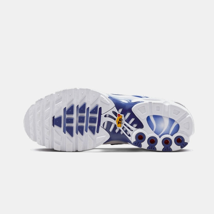 Nike® Air Max Plus Blue Fade